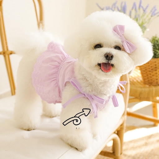 Title 5, Pet cat thin clothes, Main Sling short skirt wi...