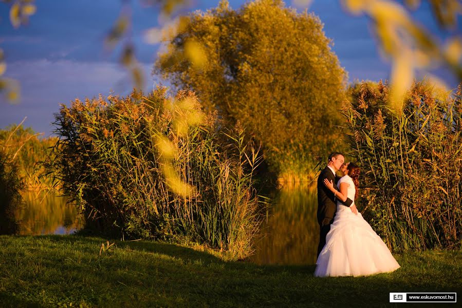 Photographe de mariage Esküvő Most (eskuvomost). Photo du 3 mars 2019