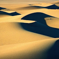 Ombre nel deserto di 