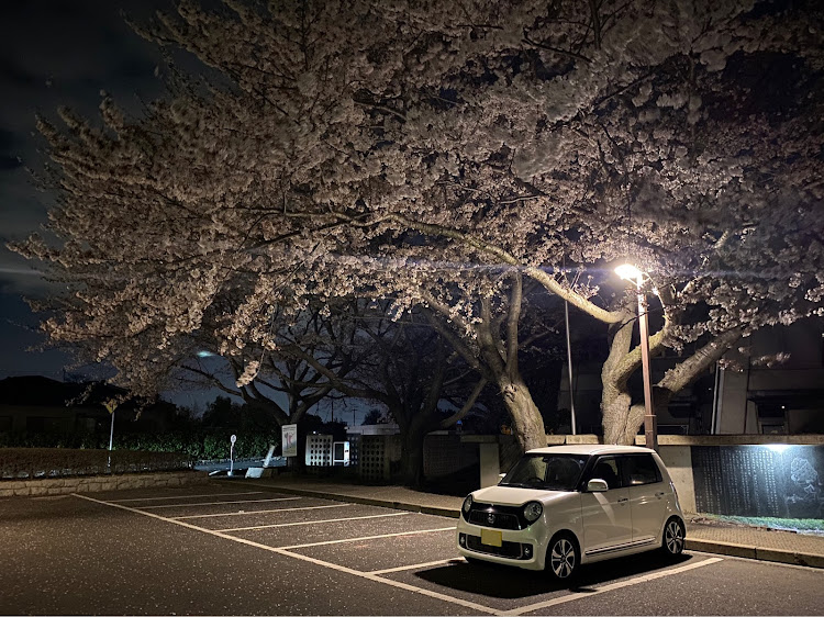 N-ONEのJG1に関するカスタム事例の投稿画像1枚目