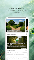 Inner Journey: Mental Clarity Screenshot 5 of 9