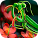 Simulateur de vie et de chasse Mantis icon