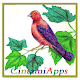 Download Colored pencil drawing For PC Windows and Mac 14.1