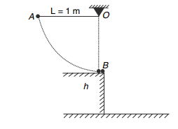 Simple pendulum