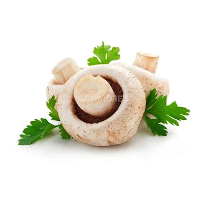 Mushroom Shiitake - Exotic - 1 kg