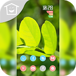 Cover Image of Download 清新温暖叶片主题 2.0 APK