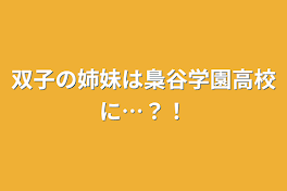 双子の姉妹は梟谷学園高校に…？！