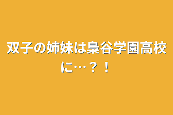 双子の姉妹は梟谷学園高校に…？！