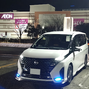 セレナ GFC28