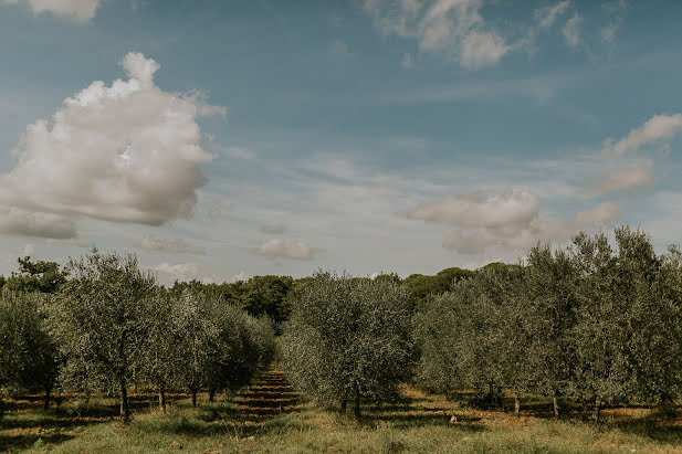 Vestuvių fotografas Paul Mazurek (paulandstephanie). Nuotrauka 2020 vasario 10