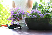 Just five minutes gardening outside gives you an improved sense of self-esteem.