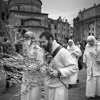 La Domenica delle Palme di 