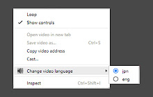 Multi-language Audio Select for Videos small promo image