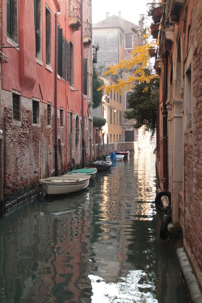 Venezia di Ari