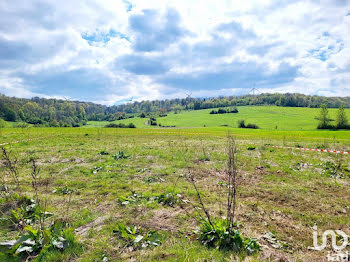 terrain à Saint-Pancré (54)