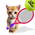 Meme Tennis Cat