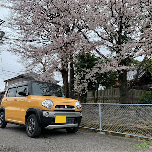 ハスラー MR41S