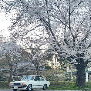 コロナ TT130