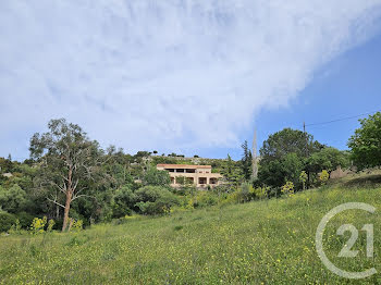 maison à Saint-Florent (2B)