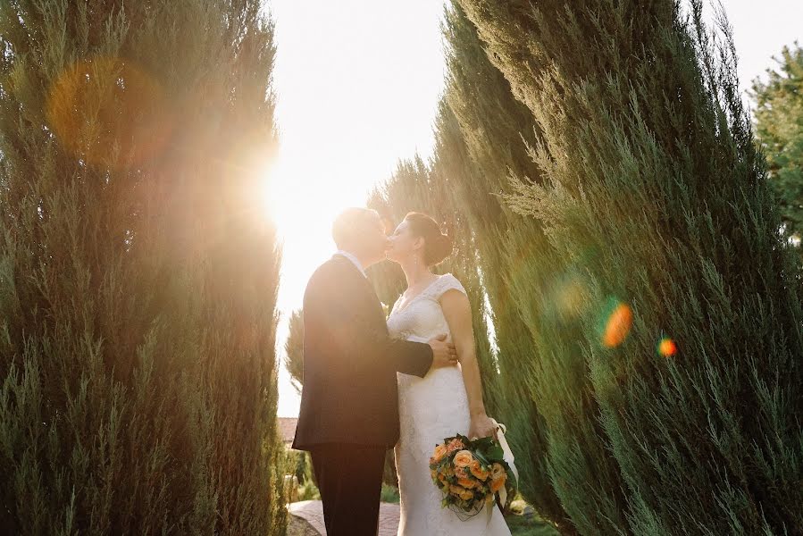 Fotógrafo de bodas Andrey Ionkin (andreystudio). Foto del 15 de noviembre 2016