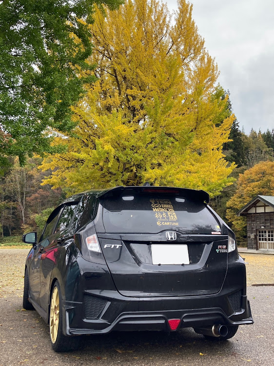フィット RSの紅葉ドライブ・釣り🎣行きたい・腐れ部長、ざまぁみろ🤩・紅葉と愛車・喰丸小学校に関するカスタム事例の投稿画像3枚目
