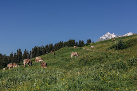 Kāzu fotogrāfs Andrey Bayda (andrewbayda). Fotogrāfija: 1. augusts 2016