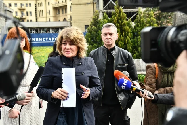 Nestorović za BETU: Radna grupa će kontrolisati izborni proces i izvršiti reviziju biračkog spiska