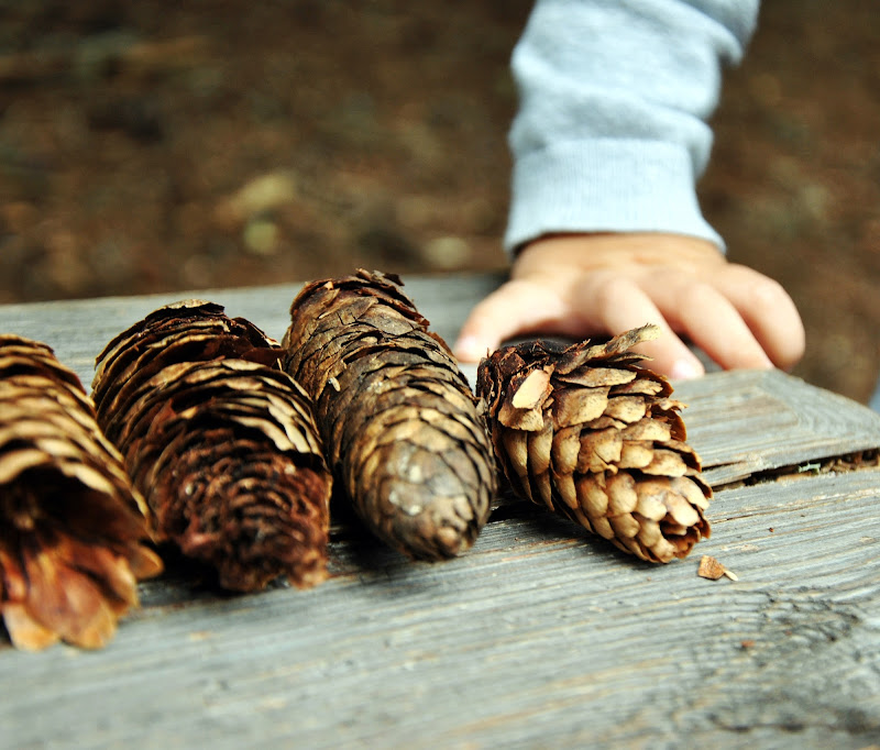 Alla ricerca dell'autunno di laurazanni