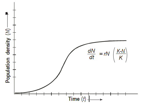 Population Growth