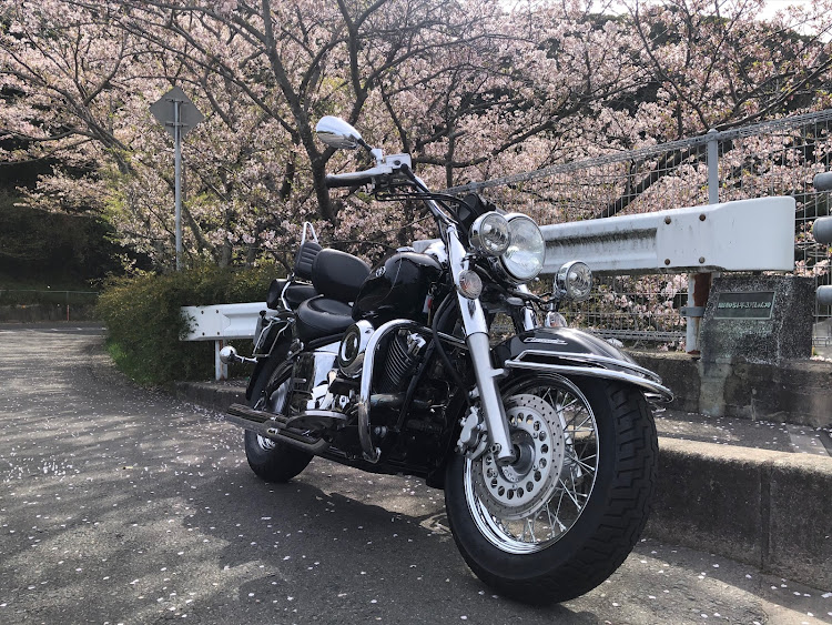 エリーゼの桜とチューリップと愛車・ディフューザーがヤバし(´⊙ω⊙`)・桜…散りだしたね(´･ω･`)に関するカスタム事例の投稿画像9枚目