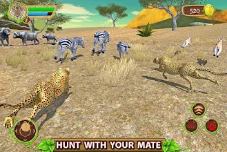 Furious Cheetah Family Simulator Aplicații Pe Google Play