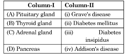 Human Endocrine Glands