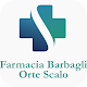 Farmacia Barbagli Download on Windows