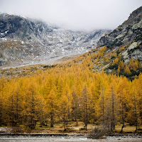 Val Ferret di 