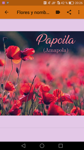 Images of Flowers and Roses