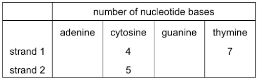 The structures of DNA and RNA