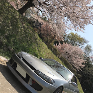 シルビア S15