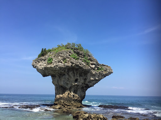 小琉球 花瓶岩