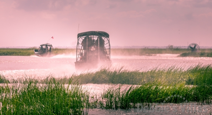 Canoeing, Kayaking and airboats Florida