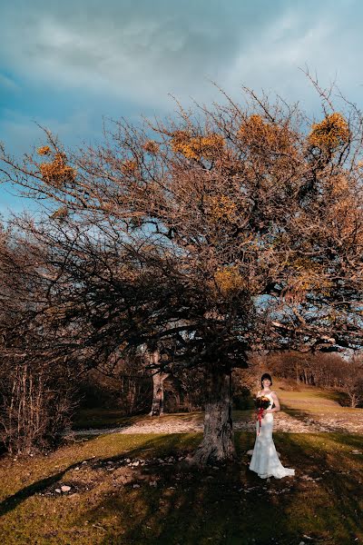 Fotografer pernikahan Olga Suslova (olgasuslova). Foto tanggal 11 November 2018