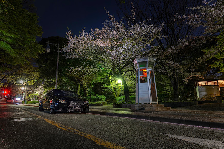 GSのサクラと愛車・桜・桜とコラボ・電話ボックスに関するカスタム事例の投稿画像2枚目