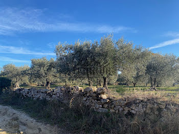 terrain à Saint-Quentin-la-Poterie (30)