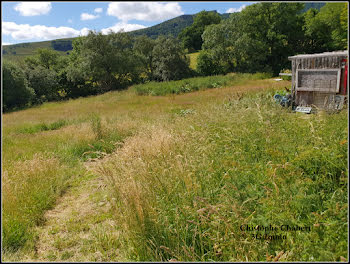 locaux professionnels à Chambon-sur-Lac (63)