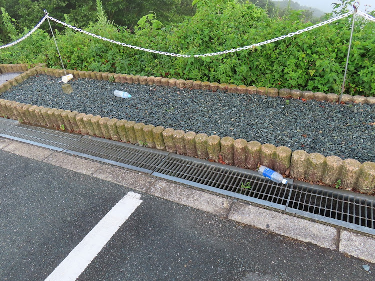 iQの8月もよろしくお願いします・気分が悪い・ポイ捨てするな‼️・花とコラボに関するカスタム事例の投稿画像4枚目