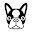 Boston Terrier Wallpapers New Tab HD