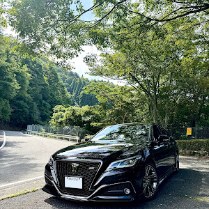 クラウンセダン ARS220