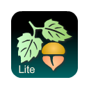 Focus on Plant Lite Chrome extension download