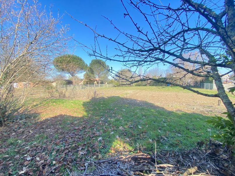 Vente terrain à batir  778 m² à Montauban (82000), 72 000 €