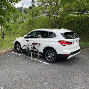 X1 xDrive 18d