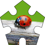 Puzzle Bugs Apk